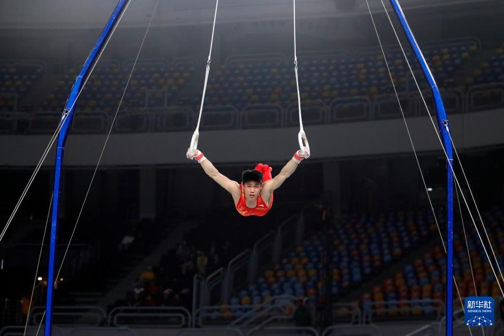 体操世界杯开罗站：刘洋获男子吊环季军